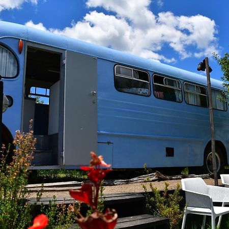 Evi The School Bus At Oromahoe Downs Farm Puketona Bagian luar foto