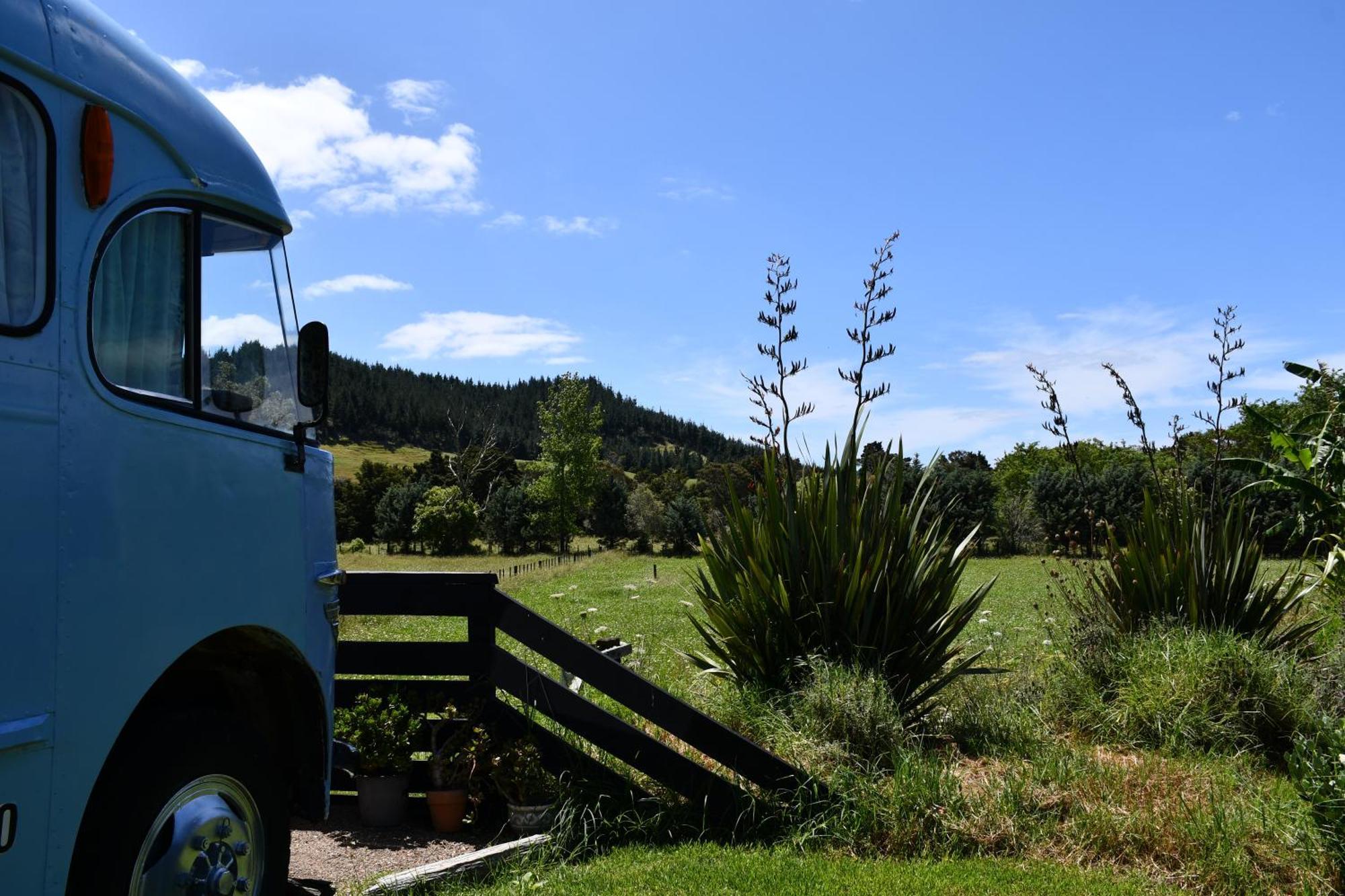 Evi The School Bus At Oromahoe Downs Farm Puketona Bagian luar foto