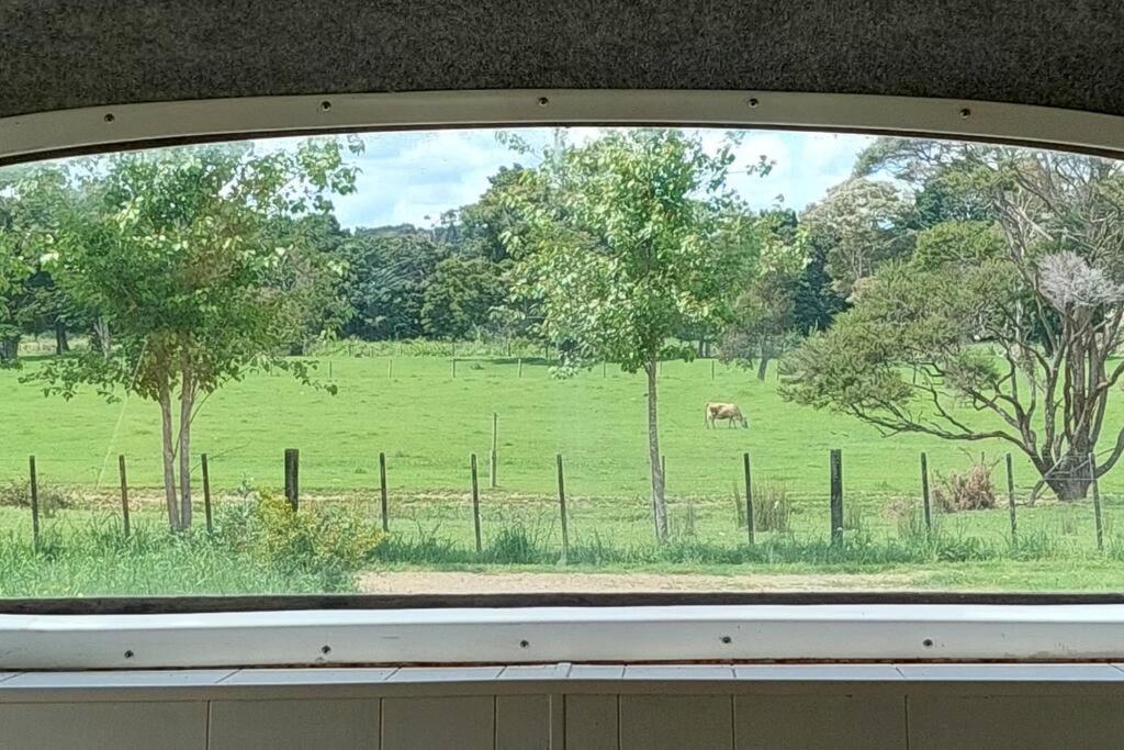 Evi The School Bus At Oromahoe Downs Farm Puketona Bagian luar foto