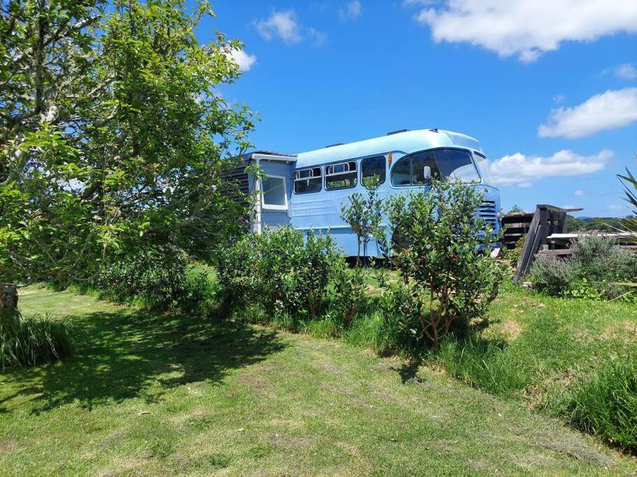 Evi The School Bus At Oromahoe Downs Farm Puketona Bagian luar foto